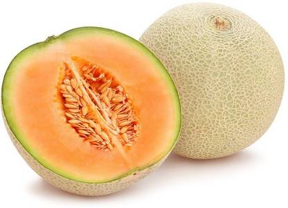 CYBEXIS XLL-35 - MUSKMELON F-1 HYBRID US-111 - (150 Seeds) Seed
