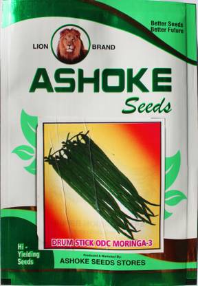 ASHOKE Seeds Drumstick Seeds Sojne Seeds Sehjan ki phalli Seed
