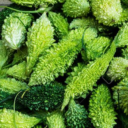 SREE Bitter Guard Seed, BG- 3108 Organic, Korola, Utchhe, Karola Hybird Seed