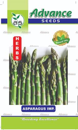 JD AGRO HB-502-ASPARAGUS Seed