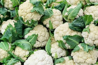 TRICONE Hybrid Suhasini Cauliflower Phool Gobhi Gardening 20 GRAM Seeds SSV8 Seed