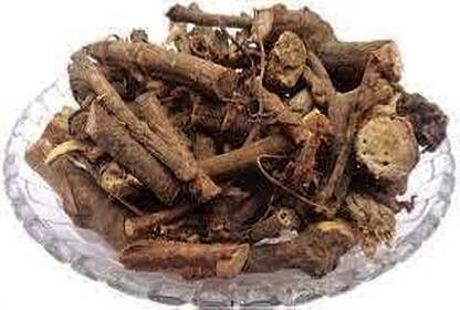 Naturebooti Dantimool - Danti Mool - Baliospermum Montanum Seed