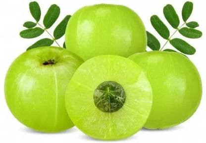Chalisa Gooseberry, Amla Seed