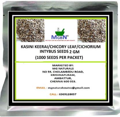 MGBN KASINI KEERAI/CHICORY LEAF/CICHORIUM INTYBUS SEEDS 2 GM Seed