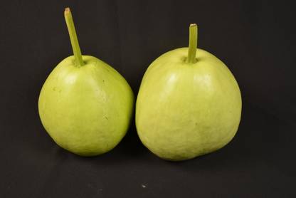 Avysa Calabash Gourd Round Bottle Gourd Seed