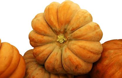 VibeX ® VMR-704 Cinderella - Pumpkin Seeds Seed