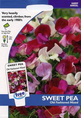 CYBEXIS Flower - Sweet Pea Old Fashioned Mixed Seed