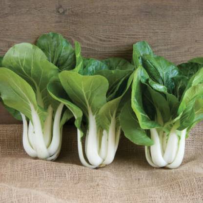Farmonix Choi Green Seeds, Cabbage Seed
