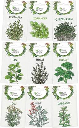 CYBEXIS 9 Varities Combo-Thyme,Sage,Oregano,Coriander,Cress,Rosemary,Dill,Basil,Parsley Seed