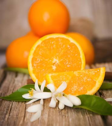 Aywal Grafted sweet malta/mosambi/mausami grafted fruit Plant Seed