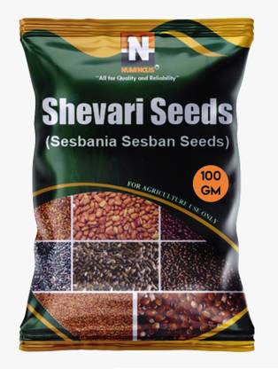 Numinous Shevri, Sesbania Sesban, Fodder Tree, Shevari Seed