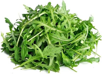 CYBEXIS LX-13 - Wild Arugula - (750 Seeds) Seed
