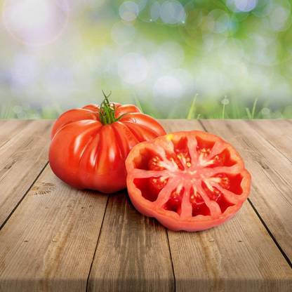 KNESSiN Tomato Montserrat Seeds 100% Natural Cultivation / Absolute Rarity Seed