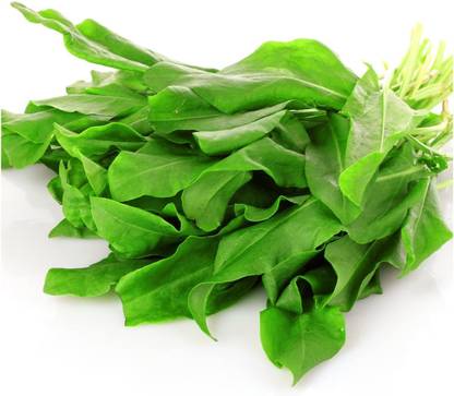 VibeX XL-12 - Arugula Salad Rocket - (250 Seeds) Seed