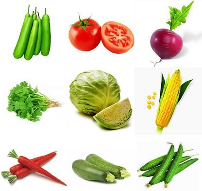 R-DRoz Cabbage, Tori, Coriander, Bottle Gourd, Carrot, Tomato, Turnip, Corn, Zucchini Seed