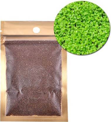 SeedHaven Carpet LIVE Grass Seeds for Aquarium Seed( 360 Seeds ) Seed