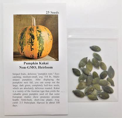 VibeX ® XXL-624 Pumpkin Kakai 4212 (Multi) Seed