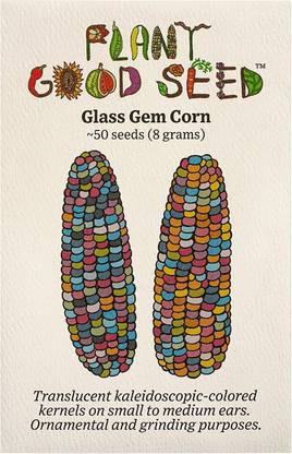 VibeX ATS-84 - Glass Gem Corn - (250 Seeds) Seed