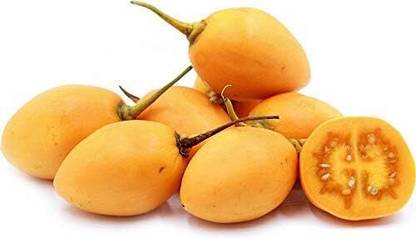 ActrovaX omato Tree (Cyphomandra Betacea 'Yellow') Tamarillo Seed