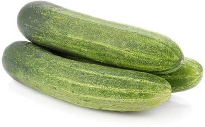 BDSresolve Hybrid cucumber seeds PACK OF 48 Seed