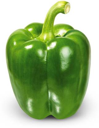 SBGARDEN Green Capsicum Seed