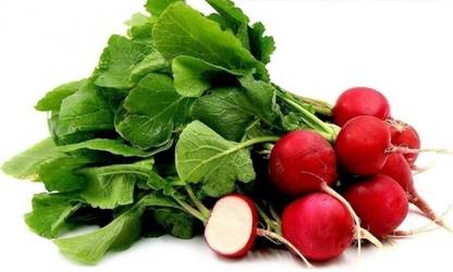 Lorvox Red Gol Mooli radish Seed