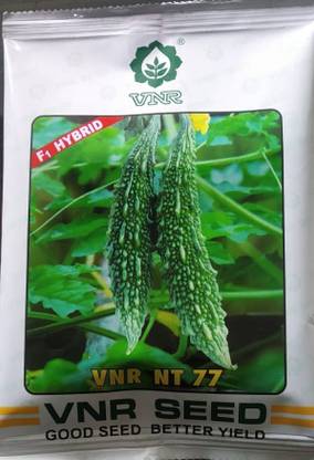VNR Bitter Gourd, NT 77 - 10 gm Seed