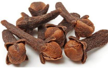 VibeX ® XXL-10 Clove Seeds(Syzygium aromaticum) Seed