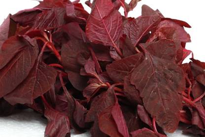 Hmr Red Amaranth Seed