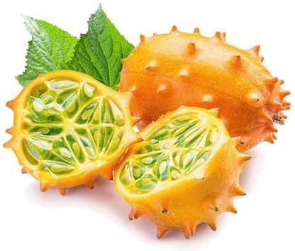 CYBEXIS KIWANO Jelly Melon - Horned Cucumber - Cucumis metuliferus1000 Seeds Seed