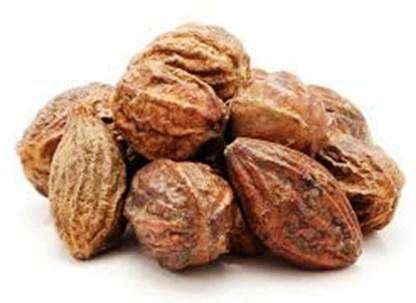 Lata Harde/Harad/Haritaki Seed