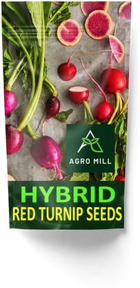 AGRO MILL ORGANIC RED TURNIP/LAL SHALJAM/SALJAM HYBRID PREMIUM QUALITY FOR KITCHEN GARDEN Seed