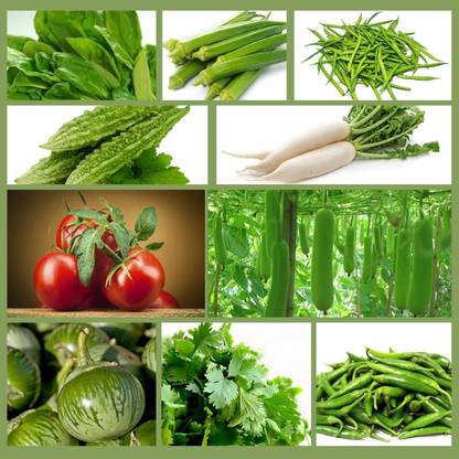 CRGO Summer Hybrid Vegetable Seeds With Instruction Manual (Pack of 10 Variety) Seed