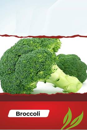 CYBEXIS NBIR-76 - Calabrese Broccoli - (450 Seeds) Seed