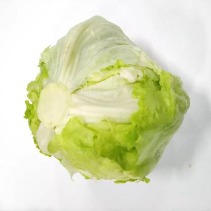 Avysa High-quality organic lettuce Seed