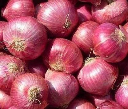 Qualtivate RES-2A Onion Seeds, Vernina - Deep violet-red onion Seed