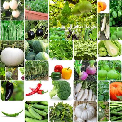 abiswas Summer 40 Variety Vegetable (Sabji Ke Beej) Seed