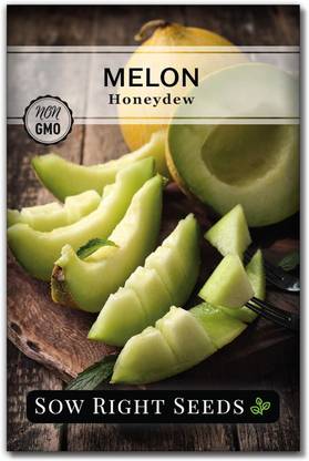 Qualtivate HUA-2A Muskmelon Honeydew Honey Melon Seed
