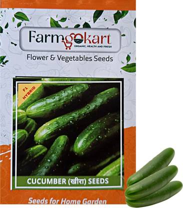 VENGATESH KUMAR TRADERS SEEDS Seed