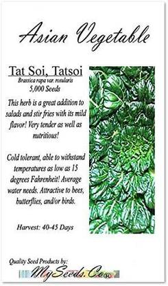 VibeX VXI-53 - Tatsoi Spinach Chinese Mustard - (250 Seeds) Seed