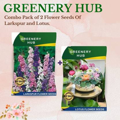 Greenery Hub Home Garden Seed Duo - Easy Grow Combo Seed