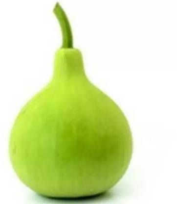 MAA Bottle Gourd round, Kaddu, Lauki Seed