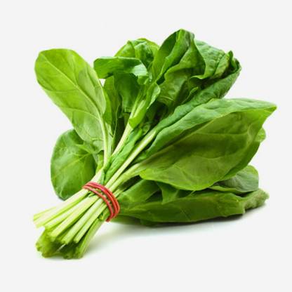 GROWNX Matador Spinach seeds Seed