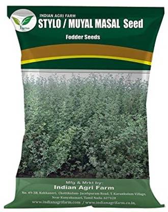 IAgriFarm Stylo / Muyalmasal / Stylosanthes Scabra 1 Kg for Fodder