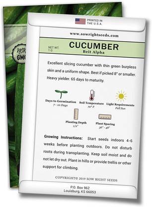 CYBEXIS LX-30 - Beit Alpha Cucumber - (1350 Seeds) Seed