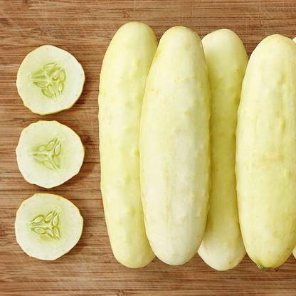 Avysa SILVER SLICER CUCUMBER SEED-CuC_895 Seed