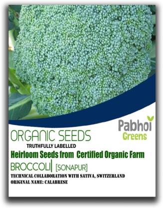 PABHOI GREENS Broccoli, Open Pollinated Seeds, Organic Heirloom Seed