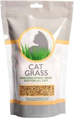CYBEXIS HUA-31 - Hard Red Winter Wheat - (2500 Seeds) Seed