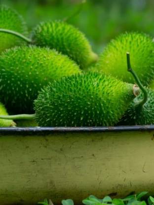 ibains Kakoda vegetable seeds Seed