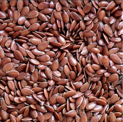 everlite flax alsi beej Seed